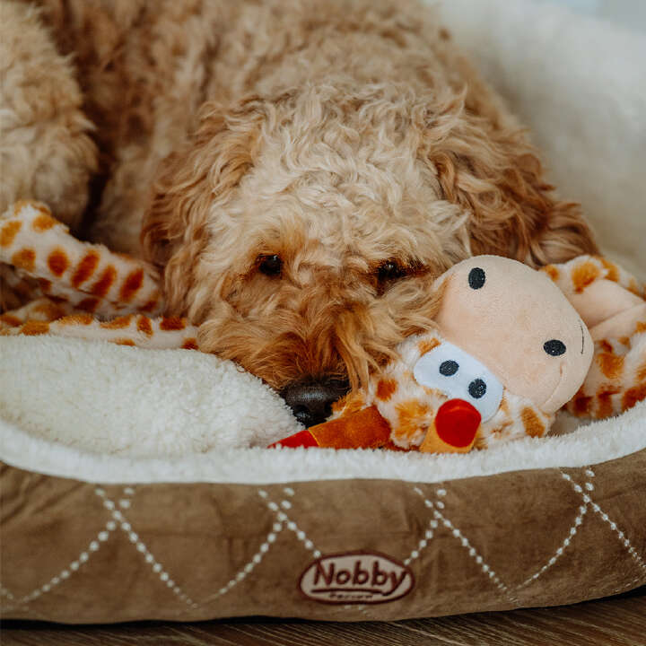 Nobby Kuscheltier Plüsch GIRAFFE für Hunde